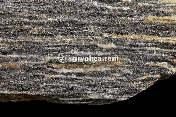 Gneiss altéré - détail - gryphea.com